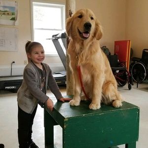 Meet your Posher, Abigail